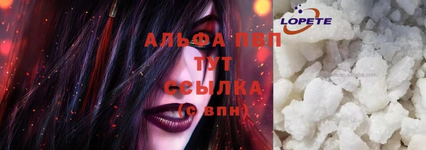 кокс Бородино