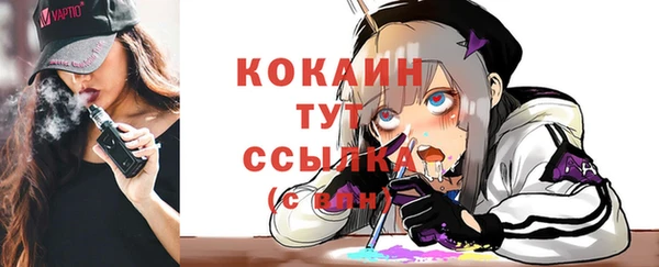 кокс Бородино