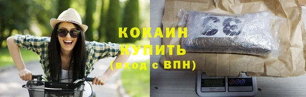 кокс Бородино