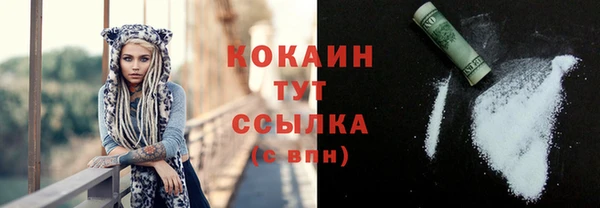 шишки Бронницы