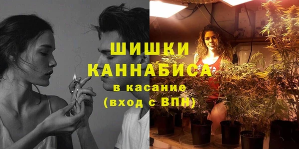 шишки Бронницы