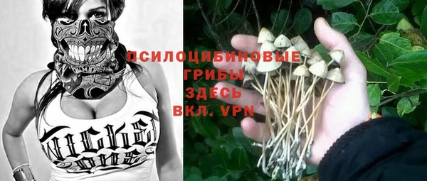 эйфоретик Бугульма