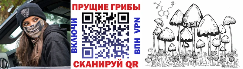 Купить  Похвистнево  Галлюциногенные грибы MAGIC MUSHROOMS 